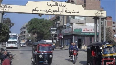 غدًا.. انقطاع الكهرباء عن مركز الباجور بالمنوفية لأعمال صيانة