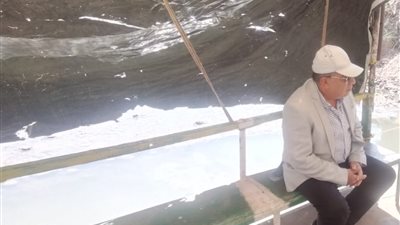 محافظ الدقهلية يكلف بإنشاء كوبري مشاة بطلخا 