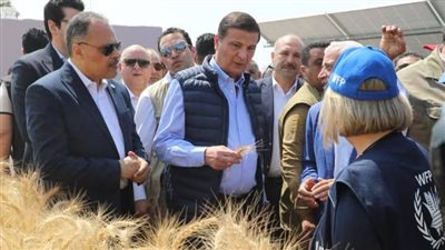 محافظ الشرقية: انتظام سير العمل بمنظومة توريد القمح للشون والصوامع  