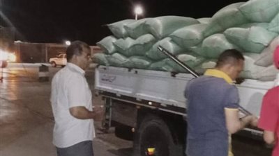 توريد 49 ألف طن من القمح بشون وصوامع المنيا 