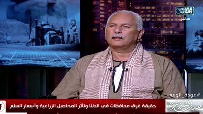 نقيب الفلاحين: محصول القمح استفاد من التغيرات المناخية.. الإنتاجية زادت