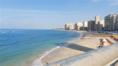 سطوع الشمس وأجواء ربيعية بطقس الأسكندرية 