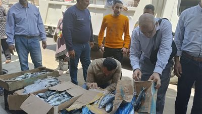 تكثيف الحملات الرقابية والتفتيشية على الأسواق والمحلات بالبحيرة