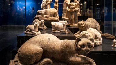 دراسة تكشف علاقة تربية القطط بالإنسان القديم في مصر 