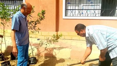 البدء في غرس ألف شجرة بمدارس قوص بقنا