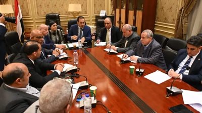 لرفع كفاءة الأداء.. تفاصيل مناقشة النواب استخدام الجينات الوراثية في تحديد الألعاب المناسبة للشباب 