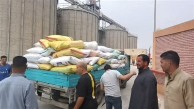 محافظ الشرقية يتابع انتظام توريد القمح 