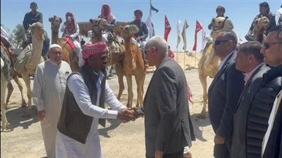 محافظ شمال سيناء يفتتح مهرجان الهجن بالعريش 
