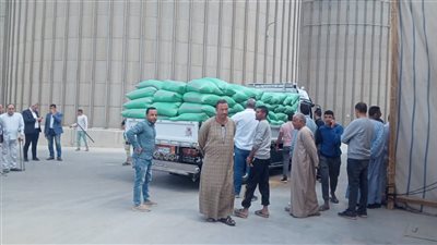 توريد 44625 طن قمح بالصوامع والهناجر في الفيوم