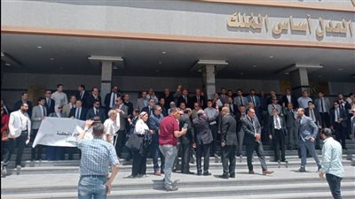 وقفات احتجاجية بالمحاكم.. نقابات المحامين تواصل التصعيد اعتراضًا على زيادة الرسوم القضائية