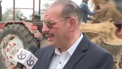 5170 طنًا من القمح تم توريدها إلى صوامع القليوبية حتى الآن..تفاصيل