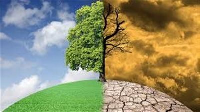 نماذج دول حولت صحراءها إلى جنة خضراء ويمكن تطبيقها في مصر