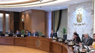 مدبولي يُشيد بجهود جهاز مستقبل مصر للتنمية المستدامة