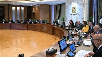 وزير الشباب والرياضة يعرض للحكومة إنجازات الرياضة المصرية