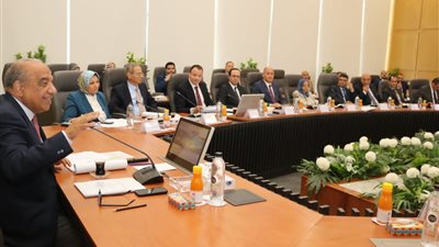 وزير الكهرباء: إعادة هيكلة الشركة المصرية تتم وفقاً لمعايير اقتصادية وبيئية