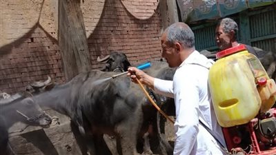 قافلة بيطرية شاملة بقرية إكراش بديرب نجم لخدمة الثروة الحيوانية