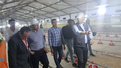  تطبيق أحدث التقنيات بمشروع انتاج الدواجن يحقق الأمن الغذائي بالمنيا