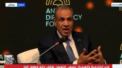 وزير الخارجية: مصر لم ولن تتعرض لأي ضغوط تتعلق بقضية تهجير الفلسطينيين