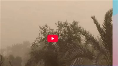 محافظ أسيوط: حالة الطقس حتى الآن مستقرة والرؤية الأفقية جيدة