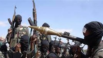 شويغو: تنامي الخطر الإرهابي في إفريقيا ناجم عن أعمال بعض الدول الأوروبية