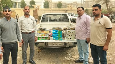 ضبط 70 كيلو رنجة غير صالحة للاستهلاك بالفيوم 