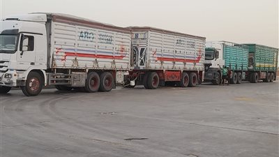 توريد  100 ألف طن قمح لشون وصوامع المنيا 