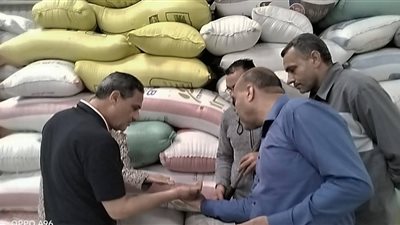 شون كوم حمادة تستقبل 555 طنًا و999 كيلو من محصول القمح
