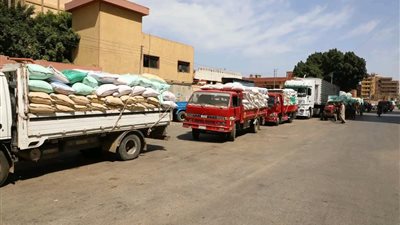 محافظ المنوفية: توريد 19 ألف طن قمح منذ بدء الموسم 