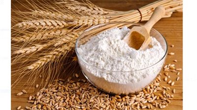 ابتكار أصناف قمح مقاومة لمرض يؤدي لتلوث الحبوب بالسموم (تفاصيل)