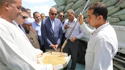 توريد  120 ألف طن قمح لشئون وصوامع المنيا 