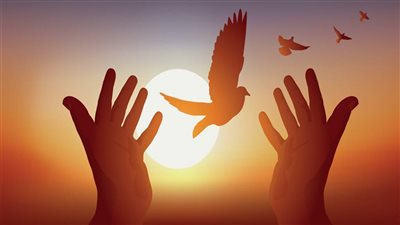 اسم الله.. نُحيِّي به بعضنا في الدنيا ويتلقانا به الله في الجنة