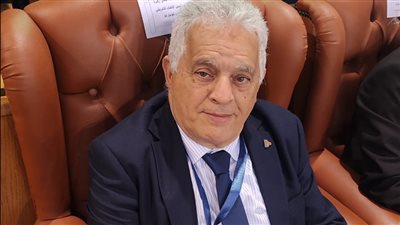 إشادة أفريقية بنجاح مصر في تنظيم بطولة الووشو كونغ فو: تبهر الجميع دائمًا