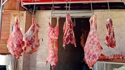 ضبط 4 محلات جزارة لعرضهم لحوم مكشوفة بإدكو فى البحيرة