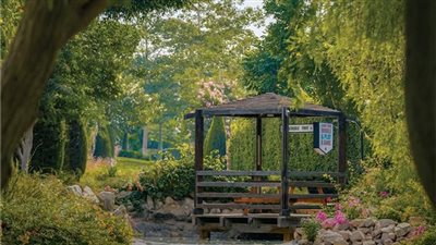 ماونتن ڤيو تؤكد التزامها بأفضل ممارسات الاستدامة والحوكمة البيئية والاجتماعية لدعم تحقيق رؤية مصر 2030 