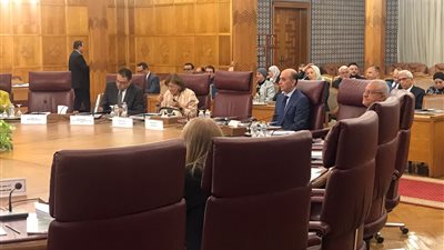 جامعة المنصورة تشارك في إطلاق مبادرة 