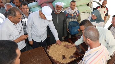 محافظ المنيا يتابع منظومة توريد القمح بالصوامع 