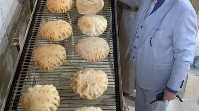 ضبط 4 طن لحوم مجمدة وأغذية متنوعة بالدقهلية