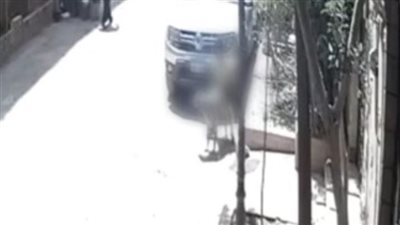 بعد واقعة التحرش بالكلب.. أمراض خطيرة تصيب الإنسان عند الاختلاط الجنسي بالحيوان