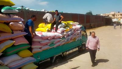 رئيس مدينة المحمودية يتابع توريد محصول القمح بشونة بنك التنمية والائتمان الزراعي