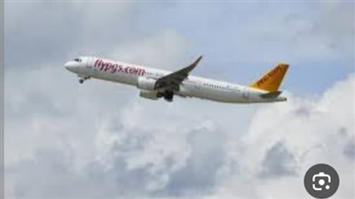 رويترز: الخطوط القطرية تعلق رحلاتها مؤقتا إلى باكستان 