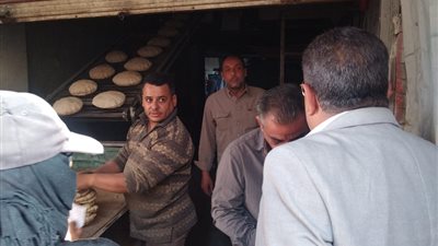  محافظ الدقهلية يوجه بمراجعة منظومة النظافة بطلخا