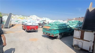 شون وصوامع البحيرة تواصل إستقبال محصول القمح