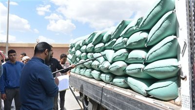 محافظ الشرقية: انتظام توريد القمح بالشون والصوامع 