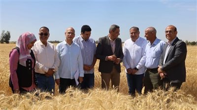محافظ السويس يفتتح موسم حصاد القمح بقرية الشلوفة     