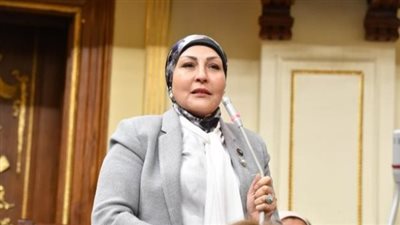 نائبة تتقدم بطلب لتدريس مادة في المدارس لتوعية الأطفال بالثقافة الجنسية (فيديو)
