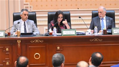 التضامن: ما تنفذه مصر في ملف الحماية الاجتماعية من أنجح البرامج بالمنطقة