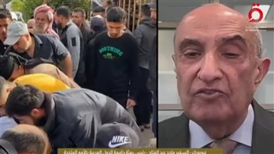 السفير ماجد عبدالفتاح: الجامعة العربية ترفض أي إدارة خارجية للأراضي الفلسطينية