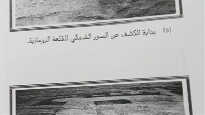 الدفاع عن الحضارة تطالب بإعادة نشر كشف قلاع تل أبو صيفى بشمال سيناء 