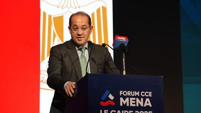 وزير المالية لكبرى الشركات الفرنسية: الاقتصاد المصري يتحرك بخطى جيدة ويوفر فرصًا استثمارية كبيرة 