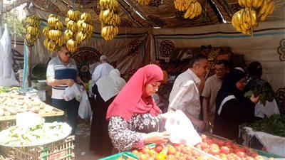 محافظ الدقهلية: استمرار أسواق اليوم الواحد الجمعة والسبت 